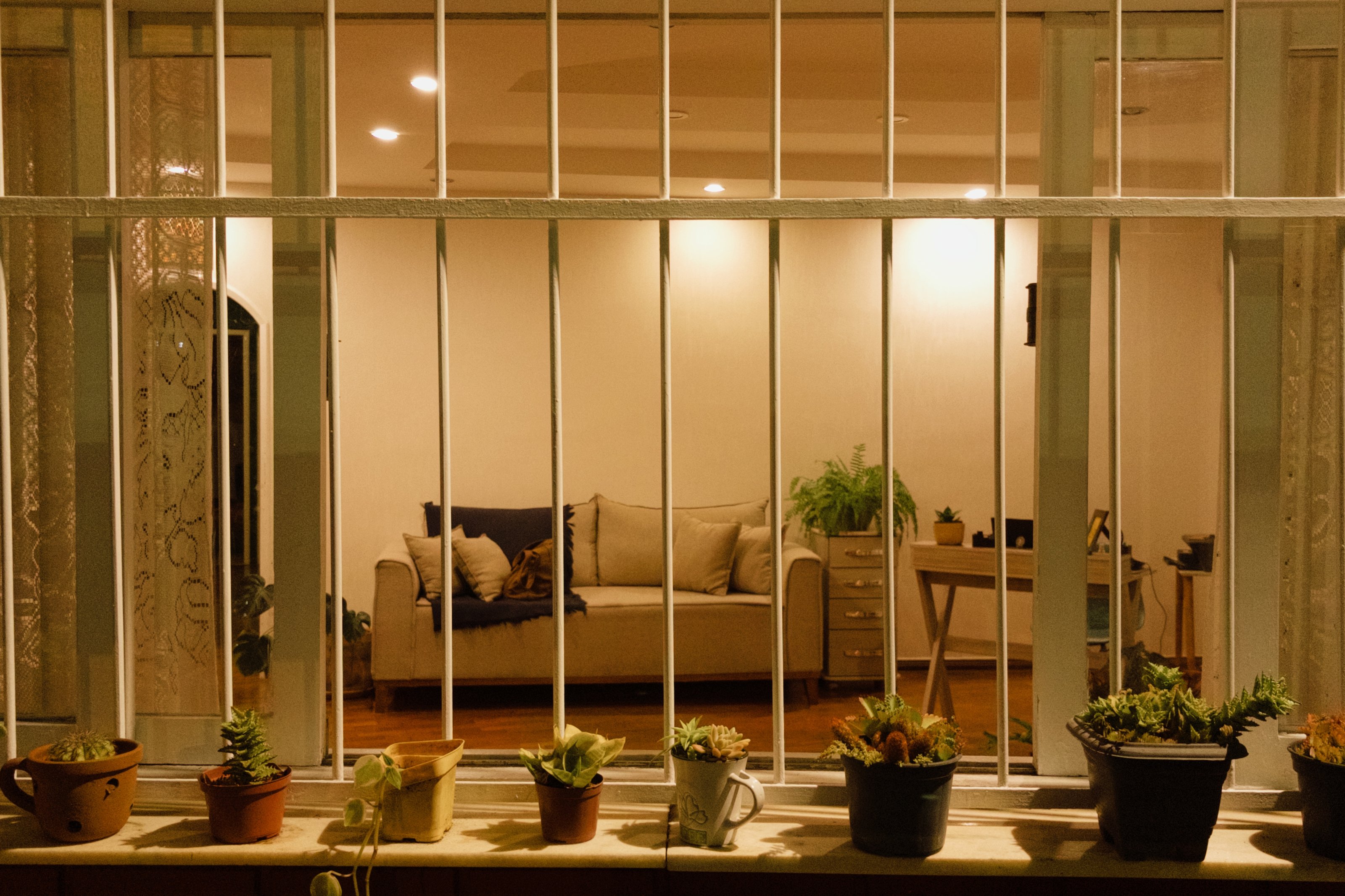 Sala da Casa Aberta vista pela janela, com sofá, plantas e luz quente.
