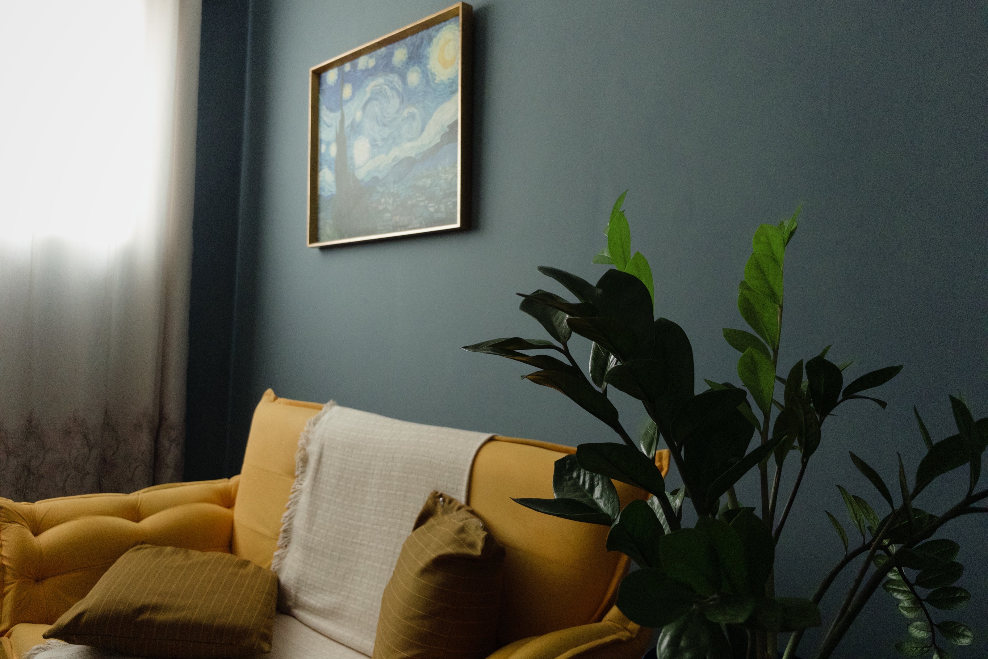 Sala de atendimento da Casa Aberta, com sofá amarelo, manta, planta e um quadro na parede.